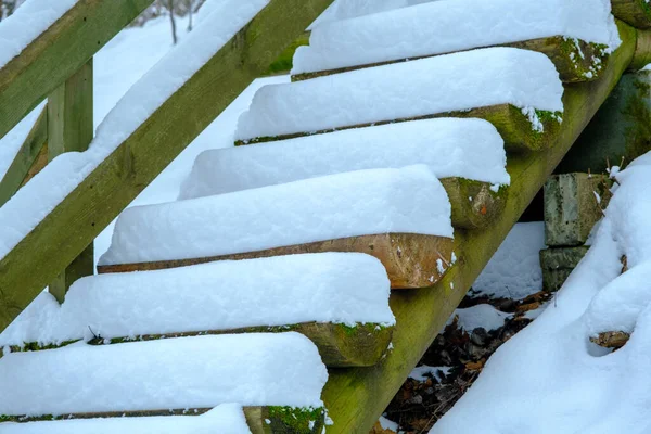 Wooden stairs with snow, tourist trail in the forest. Gauja National Nature Park. Latvia