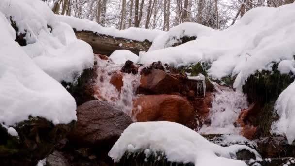 Καταρράκτης Μύλος Davida Χειμώνα Κοντά Cesis Στη Λετονία Εθνικό Φυσικό — Αρχείο Βίντεο