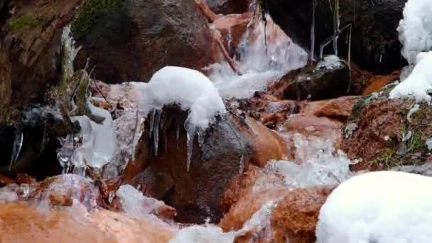 Davida Mill Waterfall Winter Cesis Latvia Gauja National Nature Park — Stock Video