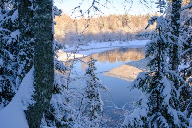 Kışın nehir manzarası, ağaçlarla çevrili nehir kıyısı, nehirde buz, kış günü, Gauja Ulusal Parkı. Letonya.