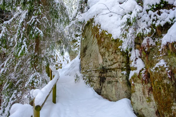 Туристическая Тропа Зимой Деревянные Лестницы Вдоль Скал Песчаника Скальный Ландшафт — стоковое фото