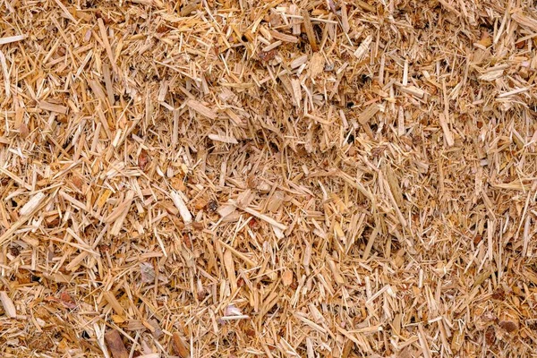 Ecological fuel wood chips used for heating. Actual fuel. A pile of wood chips for a biomass boiler. Close-up of chips, wood chips. For heating small towns.