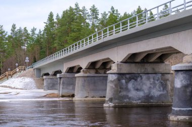 Restored, reconstructed concrete bridge over the longest river in Latvia, Gauja near the city of Strenci. Bridge over the river, spring