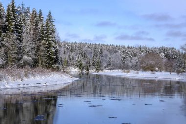 Letonya 'nın en uzun nehri. Kışın nehir manzarası, ağaçlarla çevrili nehir kıyısı, kış günü, Gauja Ulusal Parkı. Letonya