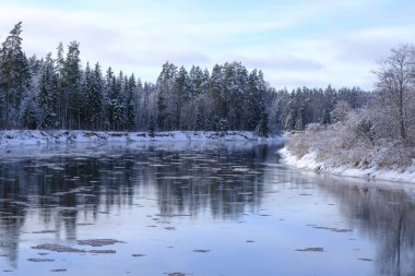 Letonya 'nın en uzun nehri. Kışın nehir manzarası, ağaçlarla çevrili nehir kıyısı, kış günü, Gauja Ulusal Parkı. Letonya