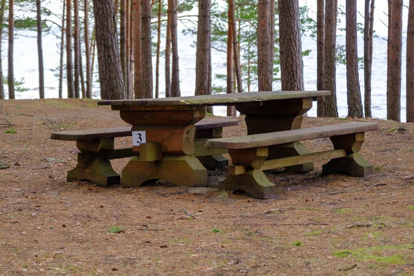 A large solid wood table with benches for sharing in a nature park in a pine forest.
