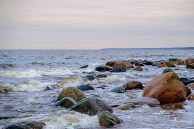 Rocky Baltic Sea beach in Latvia. Spring is approaching, nature is waking up.