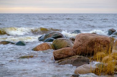 A lot of stones on the shore of the Baltic Sea. Small waves of the sea hit the rocks.