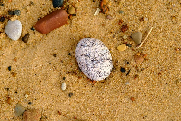 There is a small white stone with black and brown dots on the sandy sea beach. The beach is clean and made of yellow sand. Sand and stone are wet. Close-up of the stone.
