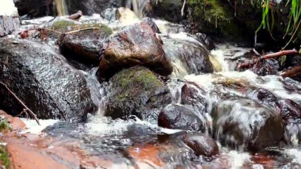 Malý Pramínek Vody Teče Přes Skály Hornaté Oblasti Lese Lesní — Stock video