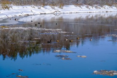 Ön planda Gauja, Letonya 'da güzel bir bahar günü. Letonya 'nın en uzun nehri.