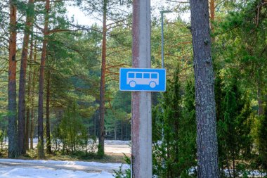 Otobüs simgesiyle mavi ve beyaz park işareti