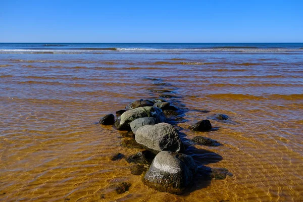 Taşların Üzerinde Yeşil Deniz Yosunları Olan Rocky Baltic Deniz Kıyıları — Stok fotoğraf