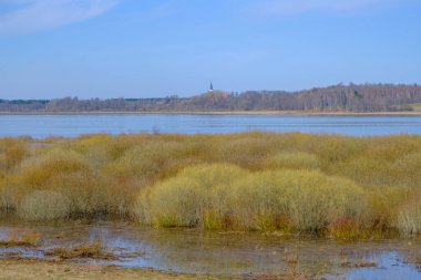 Burtnieku Gölü 'nün yanındaki bahar manzarası. Kuş izleme kulesinin manzarası..