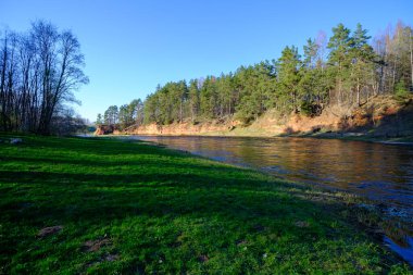 Kızıl kumtaşı bankaları. Salaca Nehri, Kızıl Kayalıklar, Letonya.