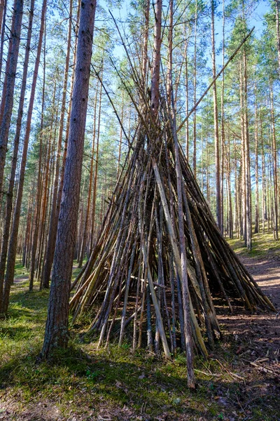 stock image A huge shelter of twigs and branches on the clearing in a deep forest surrounded by trees and greenery