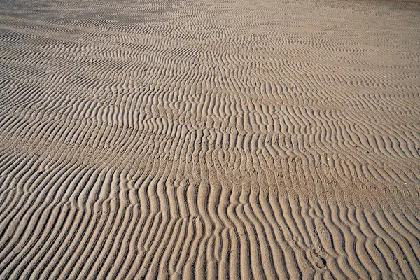 Линейная Волна Песчаном Пляже После Отступания Морской Воды — стоковое фото