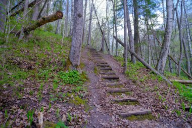 Yürüyüş patikalarındaki tahta merdivenler. Letonya 'nın güzel ormanları. Gauja Ulusal Parkı, Sigulda