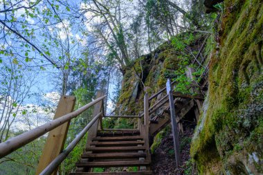 Yürüyüş patikalarındaki tahta merdivenler. Letonya 'nın güzel ormanları. Gauja Ulusal Parkı, Sigulda.