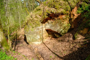 Sigulda, Letonya 'daki Kızıl Kum Kayalıkları. Gaujas Ulusal Parkı.