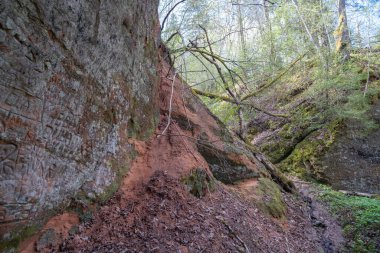 Sigulda, Letonya 'daki Kızıl Kum Kayalıkları. Gaujas Ulusal Parkı.