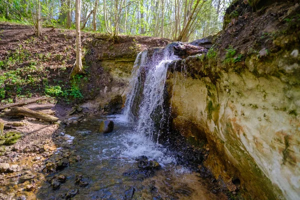 Pohled Malý Krásný Vodopád Zeleném Lese Národní Park Gaujas — Stock fotografie