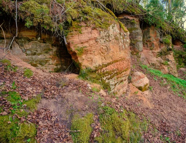 Vörös Homoksziklák Sigulda Lettország Gaujas Nemzeti Park — Stock Fotó