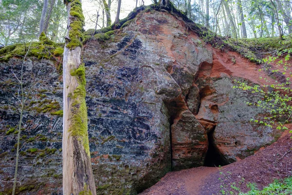 Κόκκινος Γκρεμός Άμμου Σίγκουλντα Λετονία Εθνικό Πάρκο Gaujas — Φωτογραφία Αρχείου