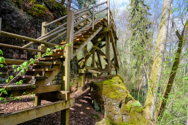 Holzpromenade Wald Mit Treppen Rande Der Klippe Nationalpark Gauja Sigulda — Stockfoto