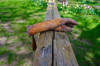 Avcı kuşları elinde tutmak için kalın bir eldiven. Zimd bir kütüğün üzerinde duruyor.