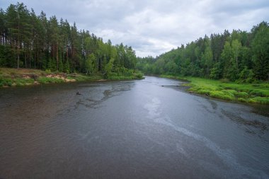 Panoramik nehir Gauja tepe üzerinde yolundan çevirmek. Gauja Milli Parkı, Letonya