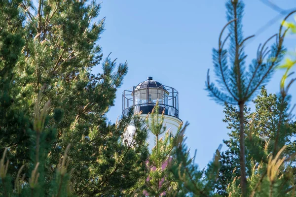 Leuchtturm Der Estnischen Küste Ein Blick Auf Die Spitze Des — Stockfoto