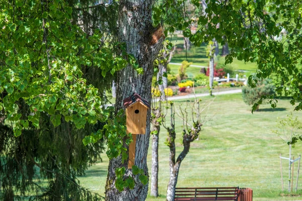 Nistkasten Auf Einem Baum Neuer Nistkasten Vogelhaus Aus Holz Vogelbox — Stockfoto