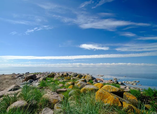 Das Felsige Ufer Der Ostsee Schöner Sonniger Sommertag Ruhige See — Stockfoto