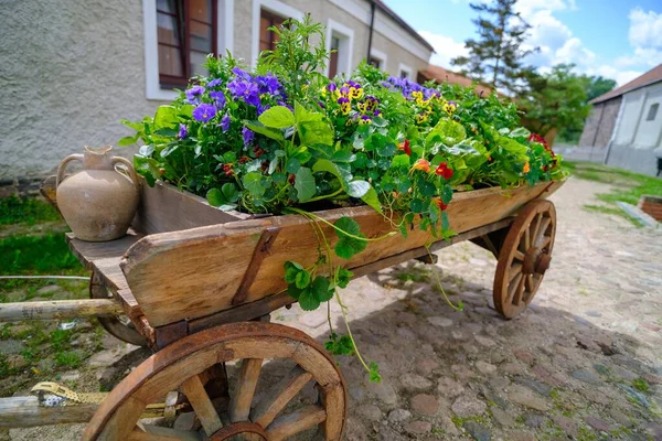 A horse-drawn carriage with decorative garden plants. A beautiful garden feature.