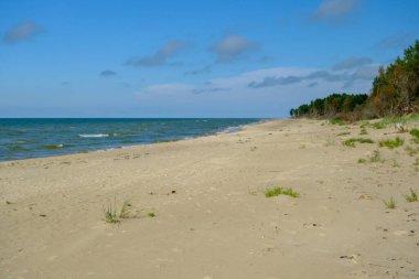 Baltık Denizi 'nin kumlu kıyısı. Geniş kıyı bölgesi ve kum tepeleri.