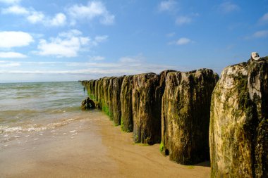 Arka planda mavi gökyüzü olan büyük bir körfezdeki eski ahşap iskelenin yan görüntüsü. Baltık Denizi Letonya.