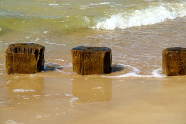 Güneşli bir günde ahşap dalga kıran kutuplar, yazın Baltık Denizi kıyısında bir dizi oluklar dalgaların gücünü ve kıyı aşınmasını azaltmaya yardımcı olur. Letonya.