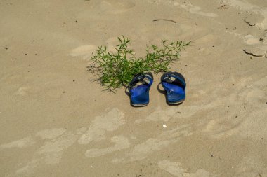 Kumsalda parmak arası terlikler. Tatil sırasında kumsalda terlikler, yaz tatili geçmişi. Turizm sezonu ve seyahat. Letonya Baltık Sahili