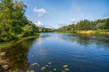 Gauja, Letonya 'nın en uzun nehri. Nehir kenarında bir yaz günü.