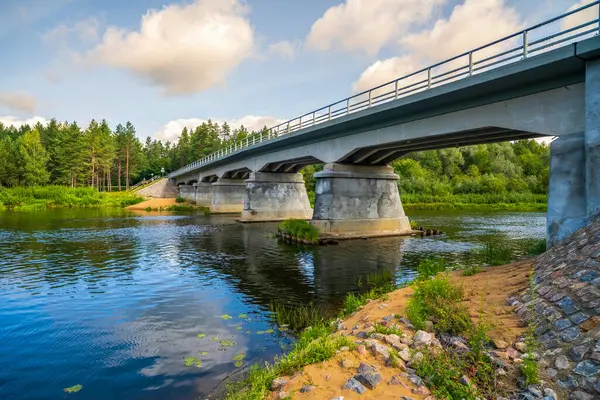 Strenci kenti yakınlarındaki Letonya 'nın en uzun nehri Gauja üzerindeki restore edilmiş, yeniden inşa edilmiş beton köprü. Nehrin üzerindeki köprü, yazın..