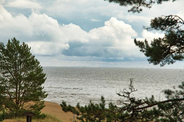 Vista Panorâmica Para Costa Lago Peipus Maior Lago Estónia Europa — Fotografia de Stock