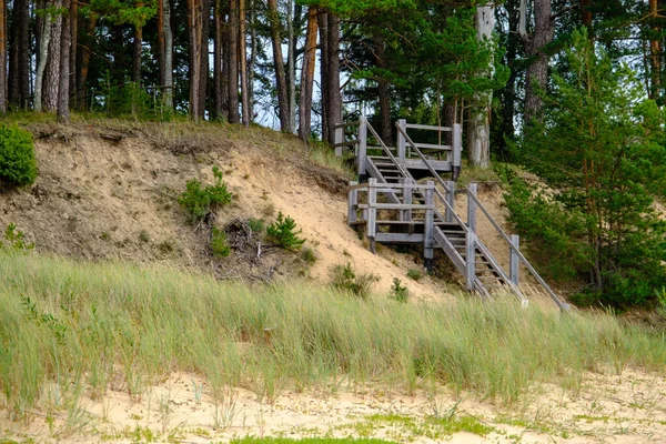 Steep Shore Baltic Sea Wooden Stairs Latvia Gulf Riga — Stock Photo, Image