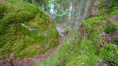 Gauja nehrinin kıyısındaki Sand cliff Sietiniezis. Gauja Ulusal Parkı, Letonya.