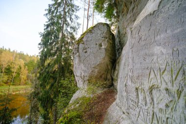 Gauja nehrinin kıyısındaki Sand cliff Sietiniezis. Gauja Ulusal Parkı, Letonya.