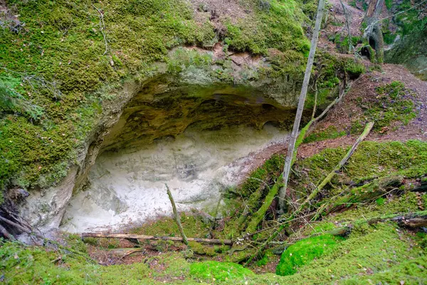 Sand Cliff Sietiniezis Brzegu Rzeki Gauja Park Narodowy Gauja Łotwa — Zdjęcie stockowe