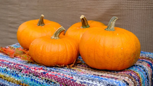 Pumpkin Concept Traditional Symbol Autumn Harvest Pumpkin Soup Pie Thanksgiving — Stock Photo, Image