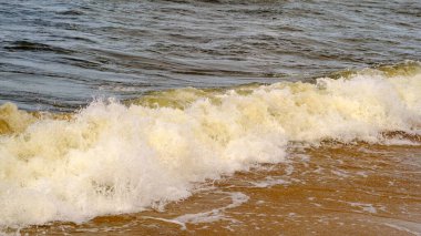 Baltık Denizi. Sahil. Dalgalar. Sonbaharda Baltık Denizi 'nin güzel manzarası