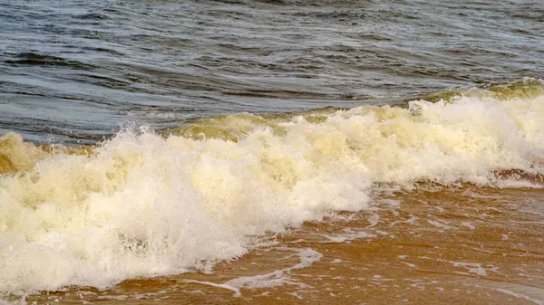 Baltic Sea. Coast. Waves. Beautiful view of the Baltic Sea in autumn