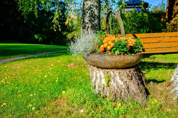 decorative flower pot for outdoor. decorative garden element